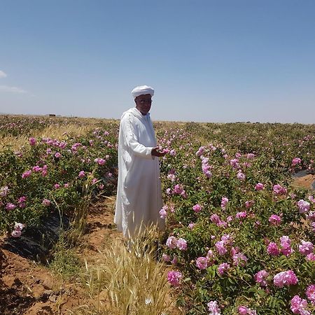Отель Kasbah Ait Kassi Boumalne Dades Экстерьер фото