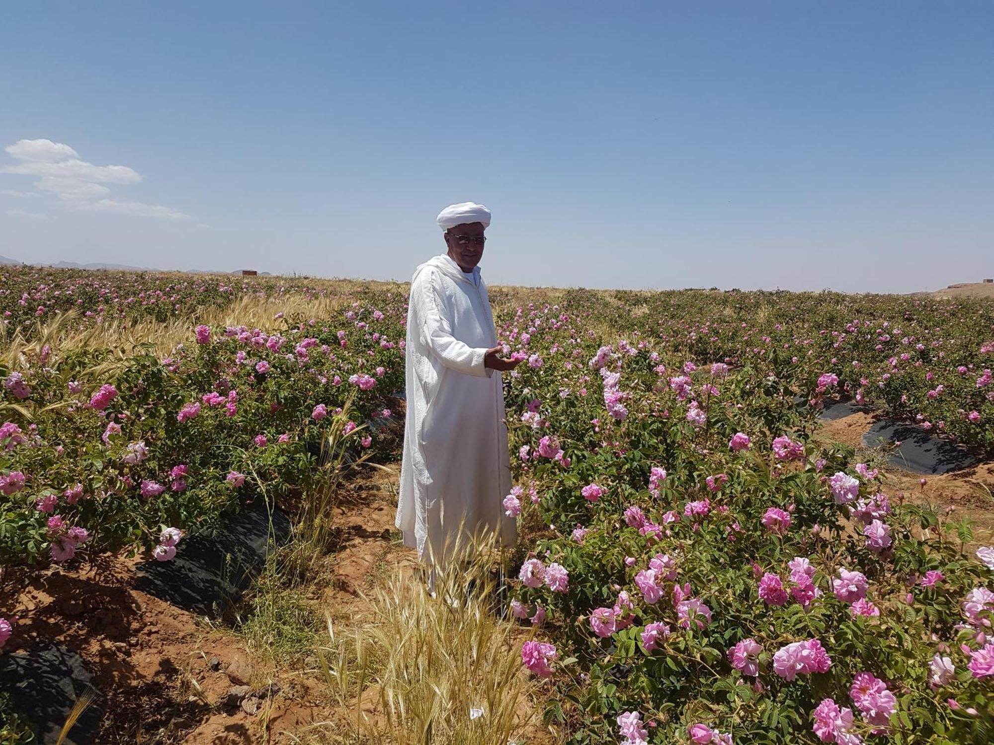 Отель Kasbah Ait Kassi Boumalne Dades Экстерьер фото