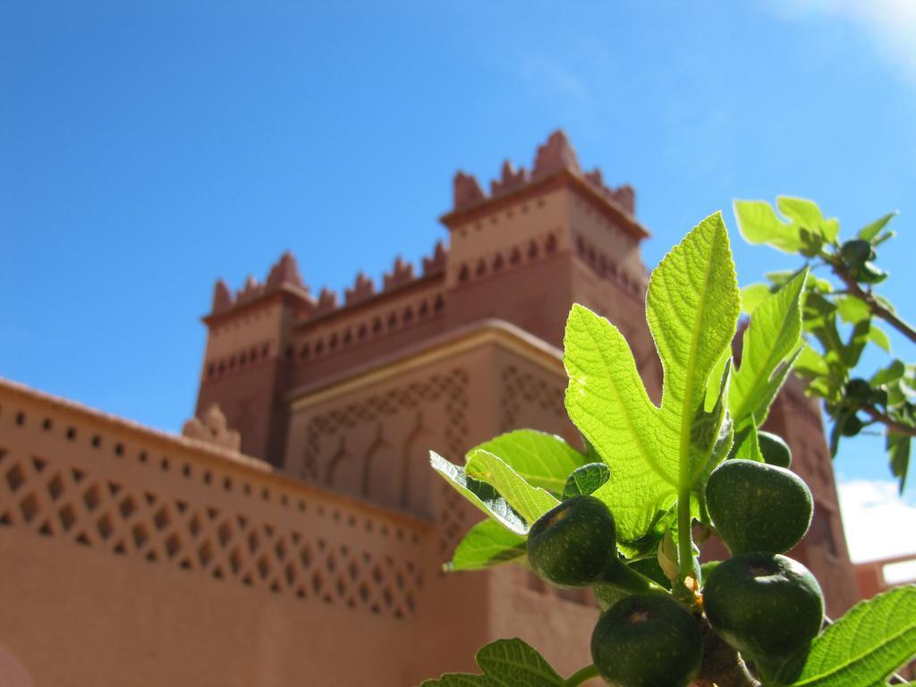 Отель Kasbah Ait Kassi Boumalne Dades Экстерьер фото